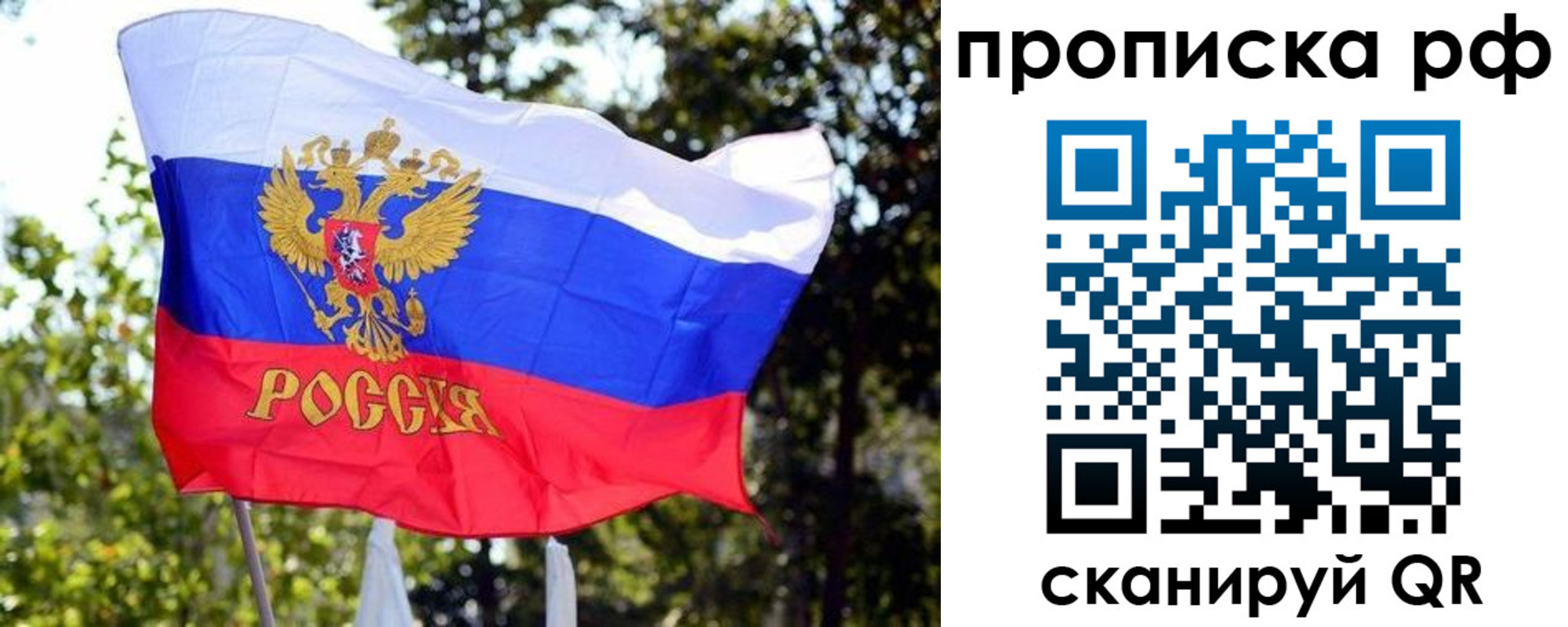 временная регистрация надежно в Пионерском
