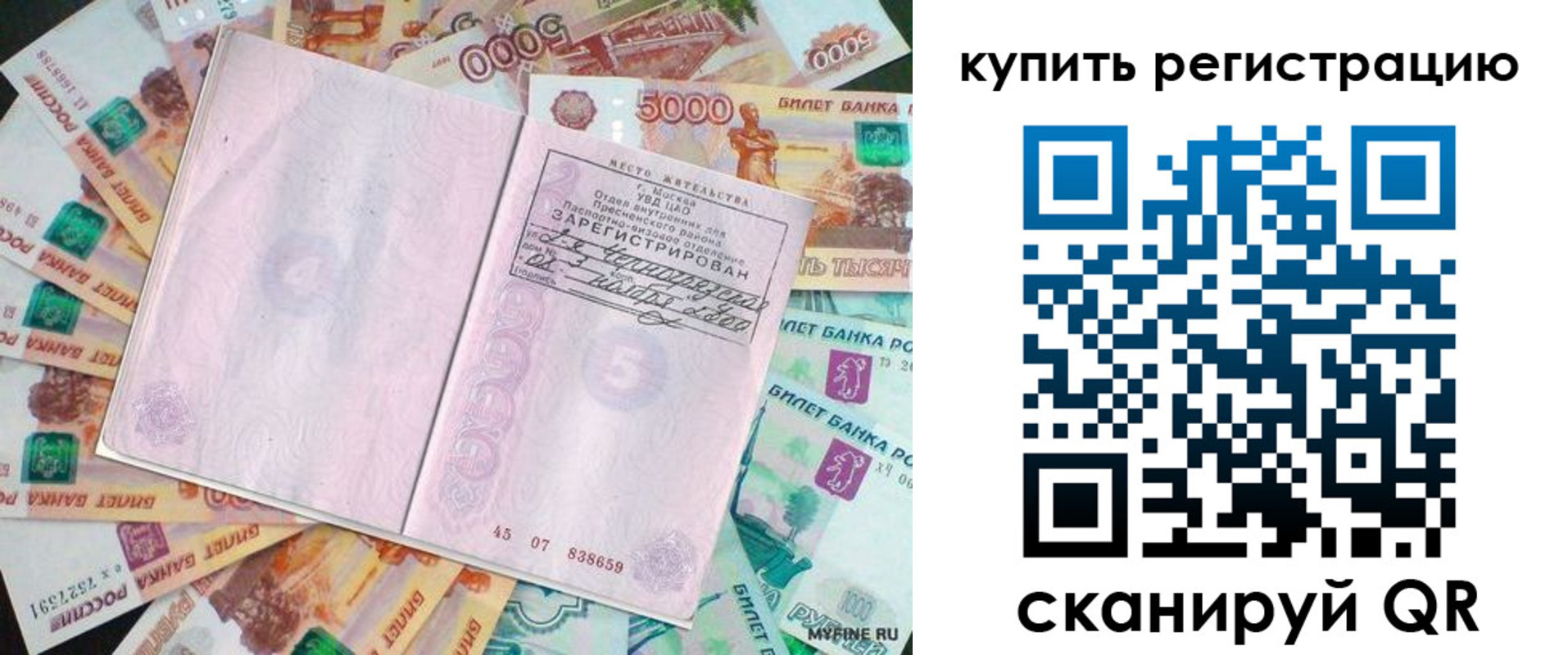 прописка законно в Пионерском